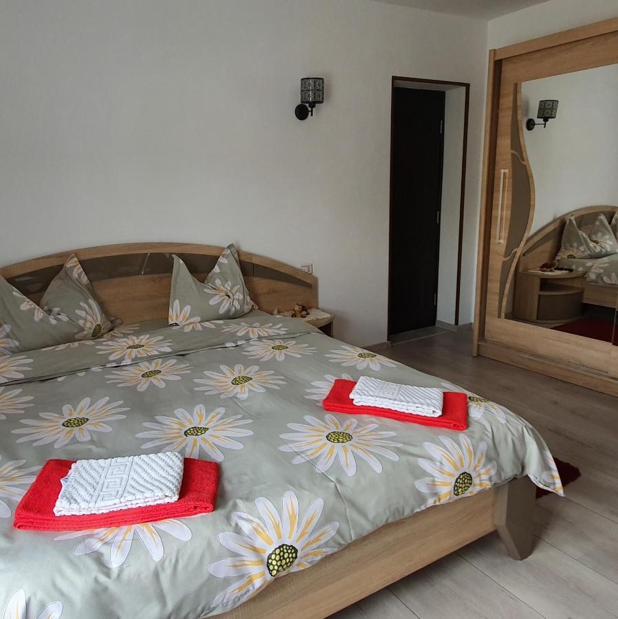 Casa Gusa Borşa 외부 사진